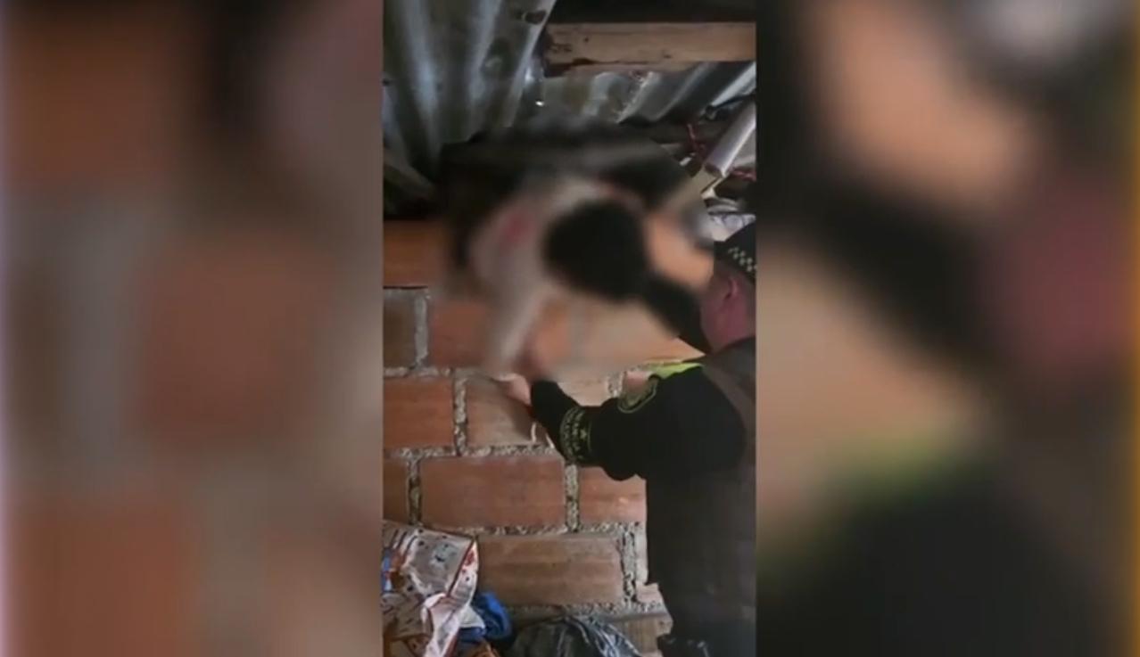 Rescatan a dos niños encadenados y abandonados en una vivienda de Medellín