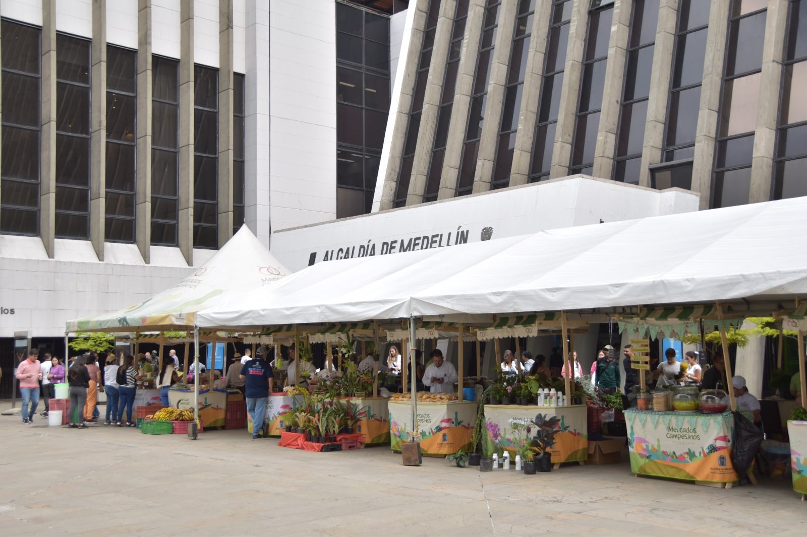 Las ventas de los Mercados Campesinos aumentaron en un 28 % este año