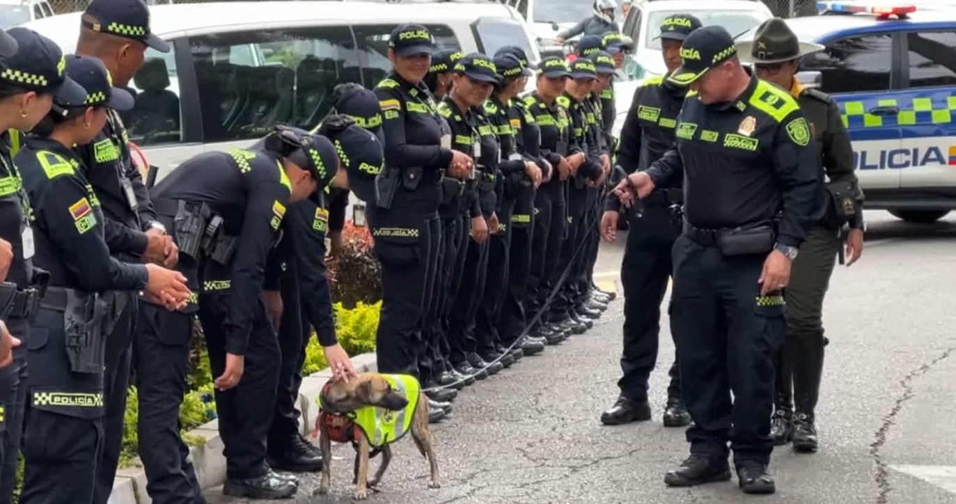 Entre policías, así vive ahora ‘Bizcocho’, el perrito que era víctima de maltrato