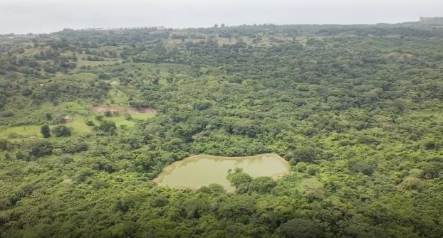 Esta es la marca de ropa paisa que convirtió sus ventas en una reserva natural 