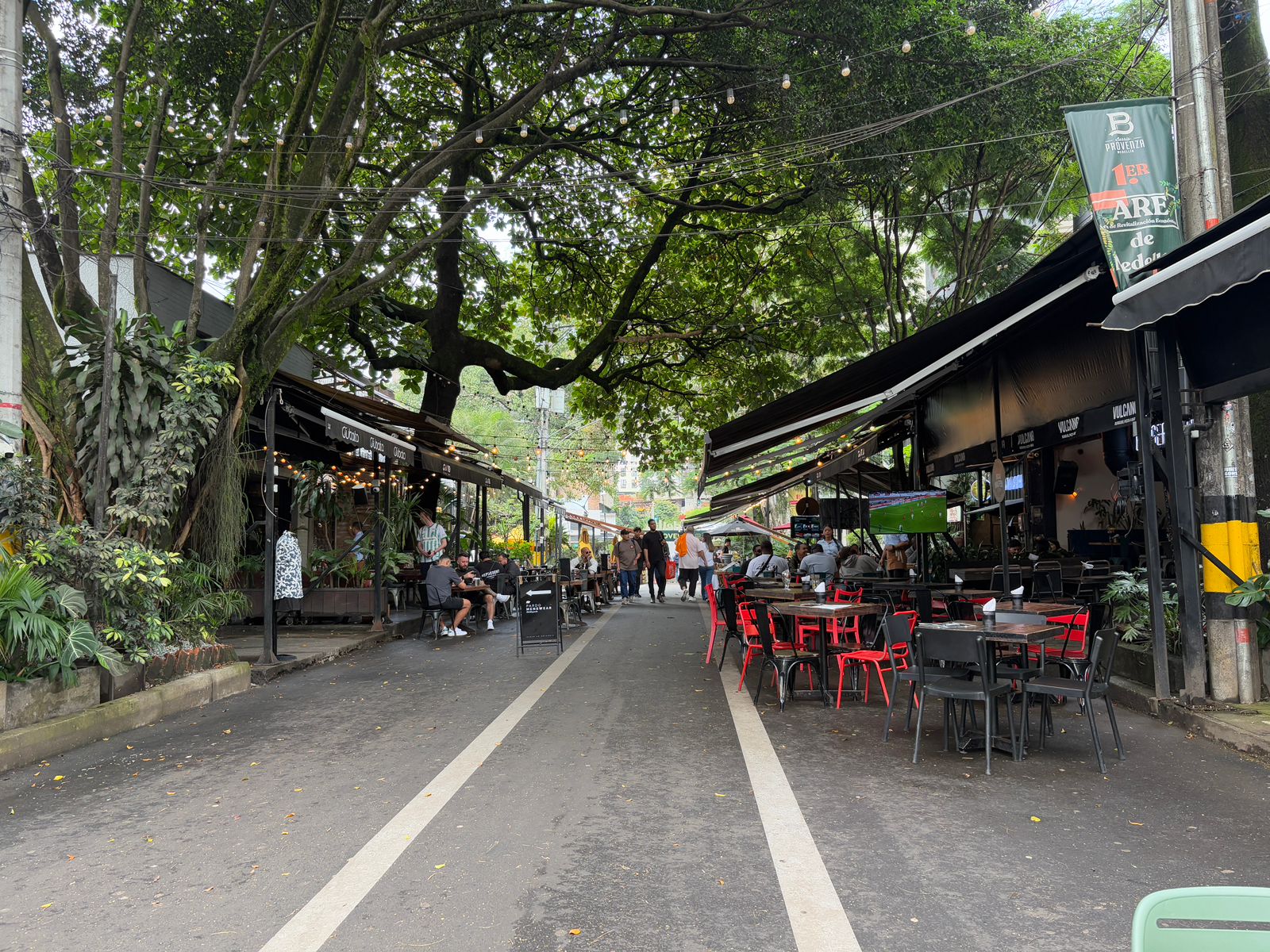 Grupo empresarial Belisario creó más de 2.700 empleos en 2025