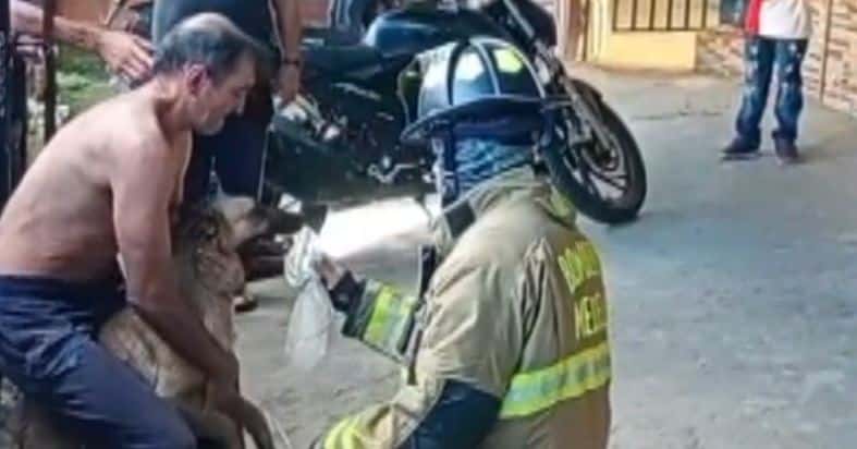 Perrita atrapada en un incendio en Manrique fue rescatada por los bomberos