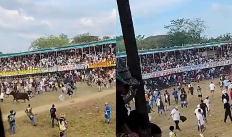 Rechazo por el regreso de las corralejas en Fredonia, tras cuatro años de suspensión 