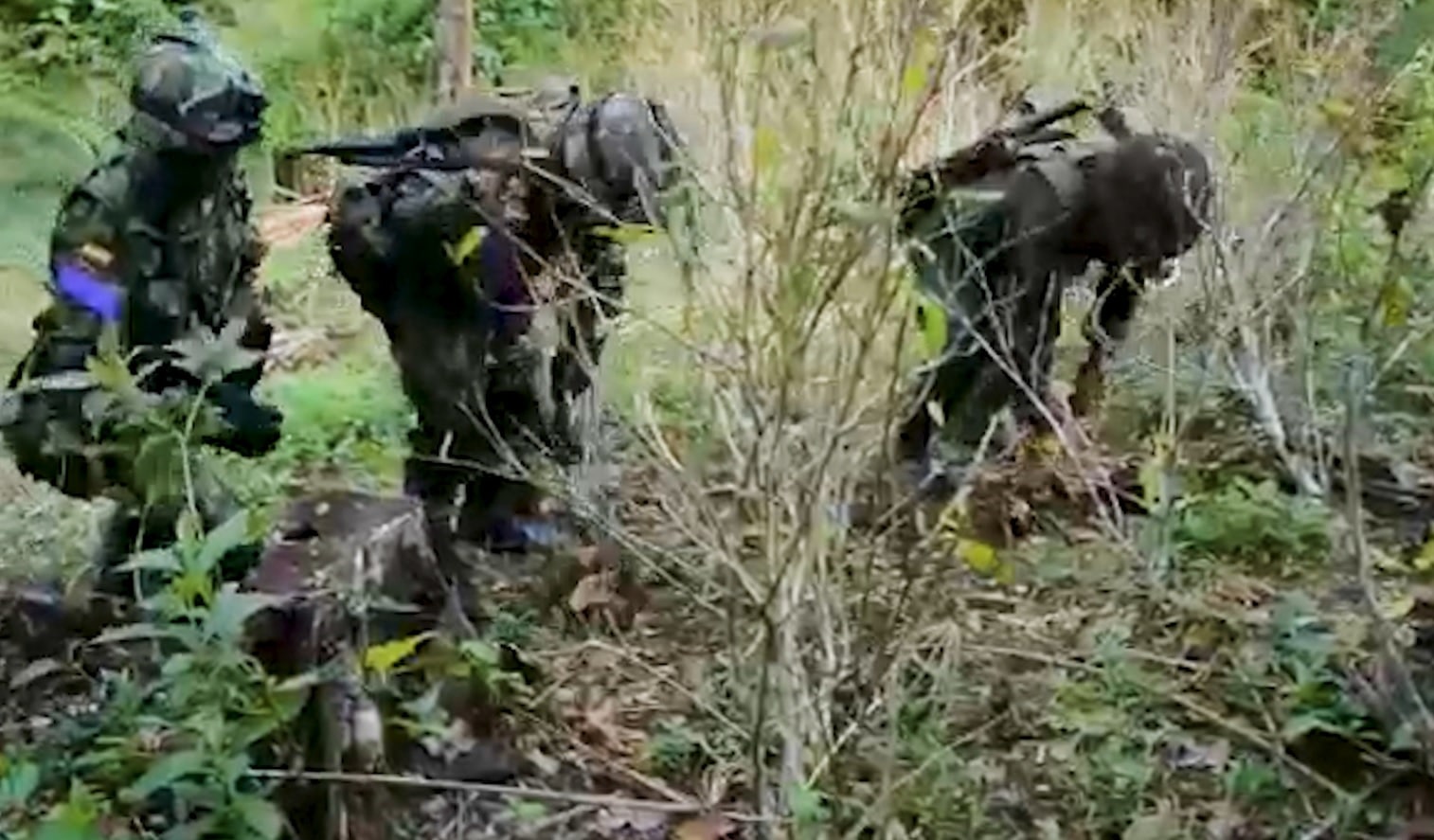 Colombia podría mantener su descertificación en la lucha contra el narcotráfico 