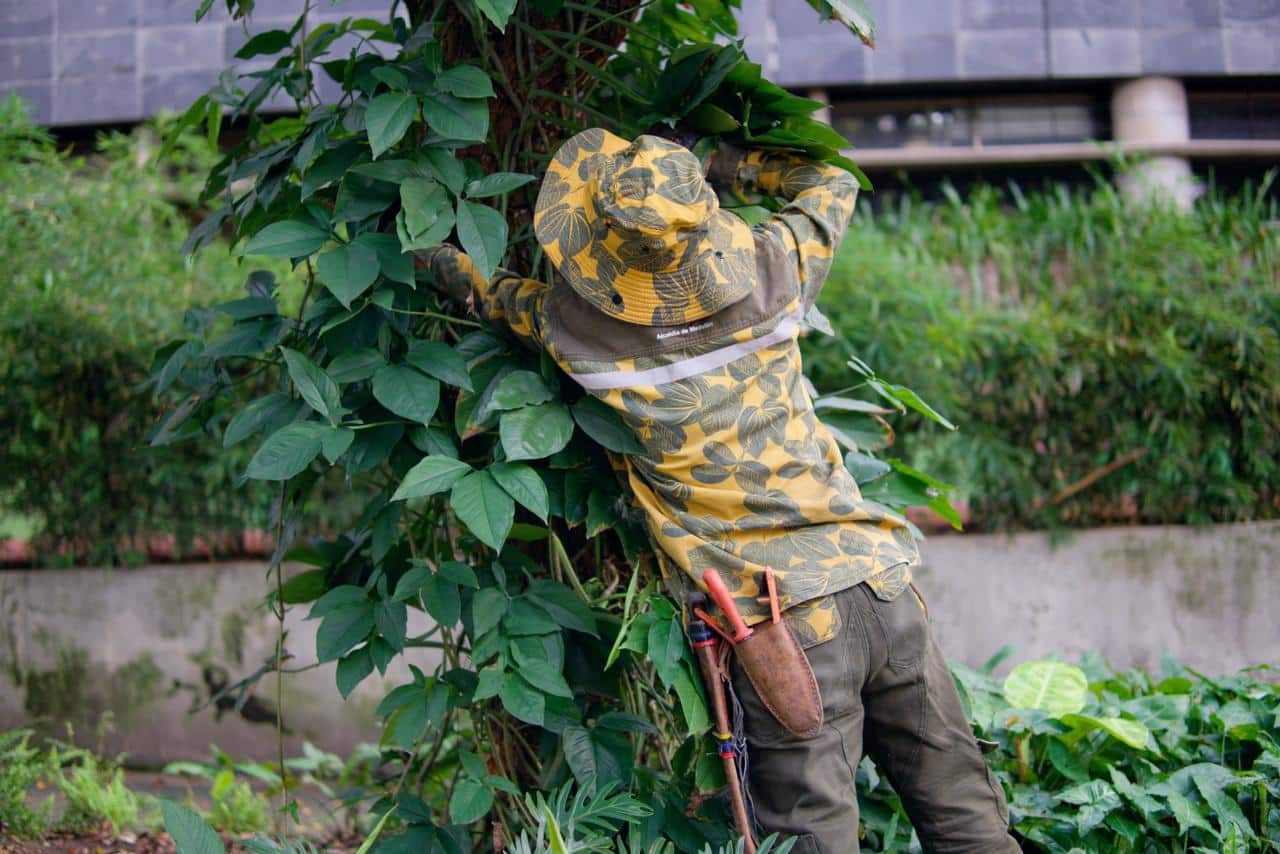 Medellín vuelve a brillar como una tacita de plata con la recuperación de puntos críticos