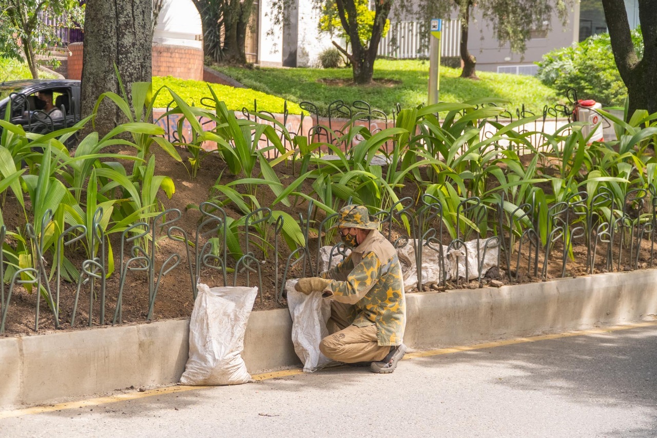 Se realizó primera audiencia del juicio por presunta malversación en contrato de mantenimiento de zonas verdes