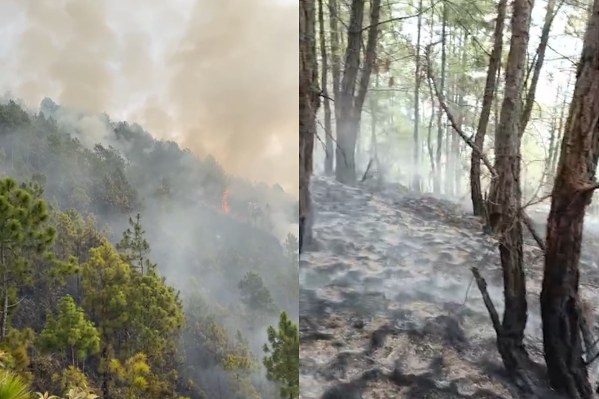 Voraz incendio en el cerro Quitasol se habría originado por globos de mecha