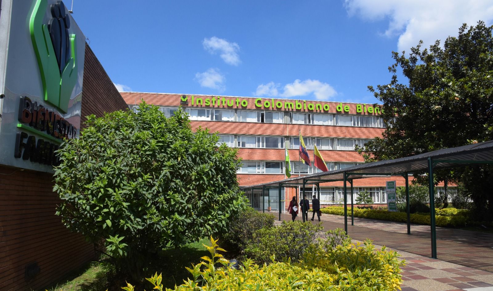 Apertura de hogares sustitutos en Medellín y Antioquia ha disminuido en un 50 %