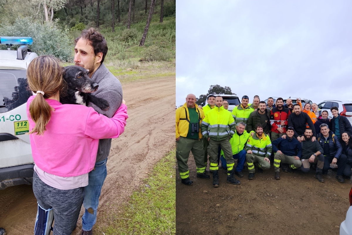 El final feliz de Boro: el perro perdido en el accidente de Córdoba vuelve con su familia