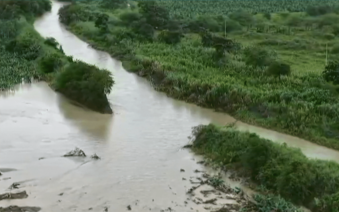 Reportan en Urabá cerca de 40 mil hectáreas de plátano afectadas por las lluvias