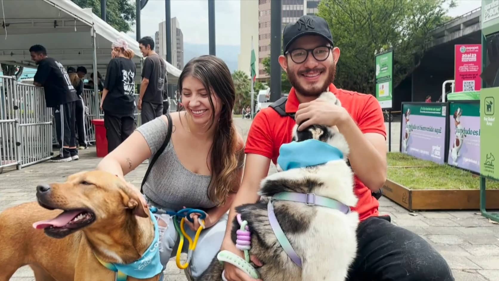 Medellín celebra el Love Pet Fest 2026: bienestar y adopción para mascotas