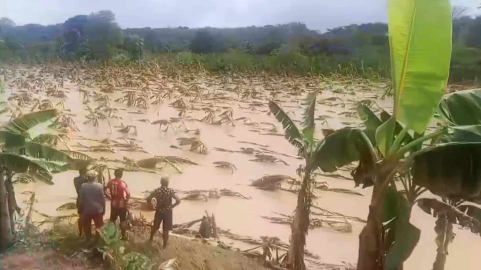 Campesinos afectados por lluvias reciben alivio financiero del Banco Agrario