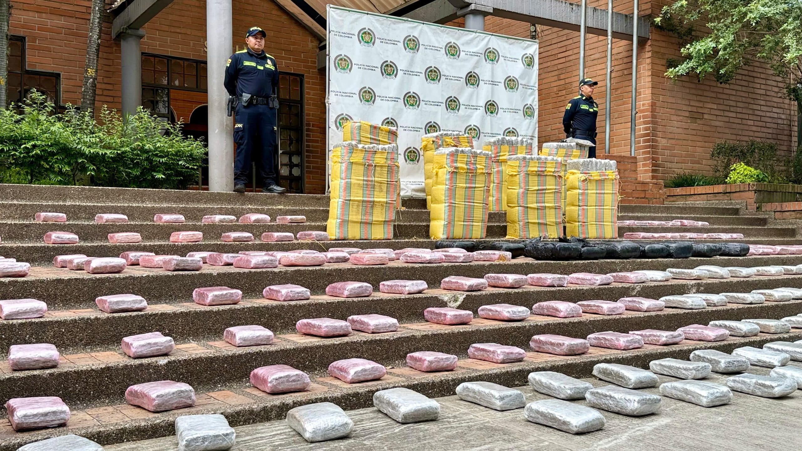 Capturan a nueve presuntos integrantes de La Terraza por tráfico de estupefacientes