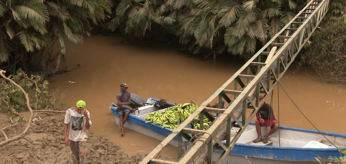 El improvisado muelle en Urabá: un punto de acopio tras la creciente del río San Juan