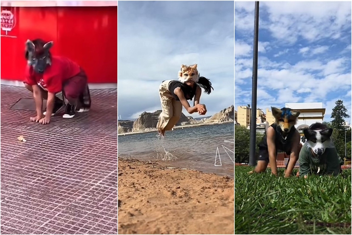 Therian: el fenómeno social que está revolucionando las redes