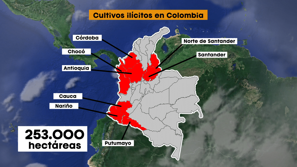En Colombia hay sembrados más de 253.000 hectáreas de cultivos ilícitos