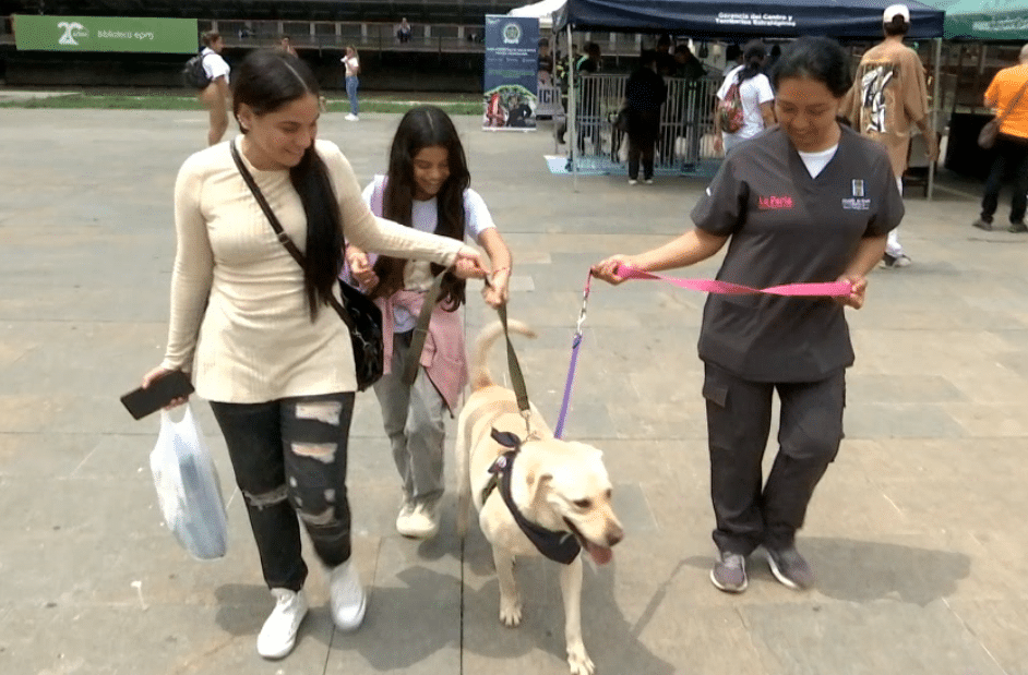 La conmovedora historia de Botero, el perrito adoptado en el Love Pet Fest