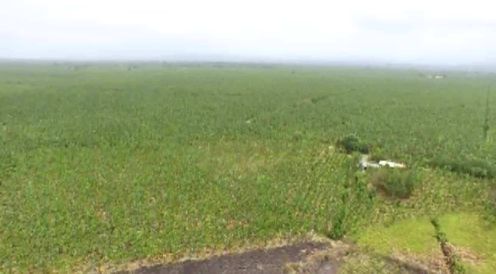 Alertan rezago en restitución de tierras en Antioquia pese a entrega de 40.000 hectáreas