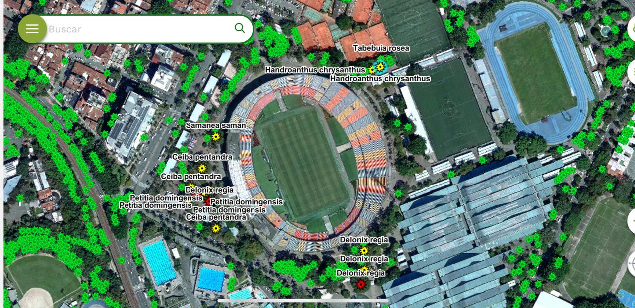 Cerca de cien mil árboles de Medellín registrados en una innovadora aplicación