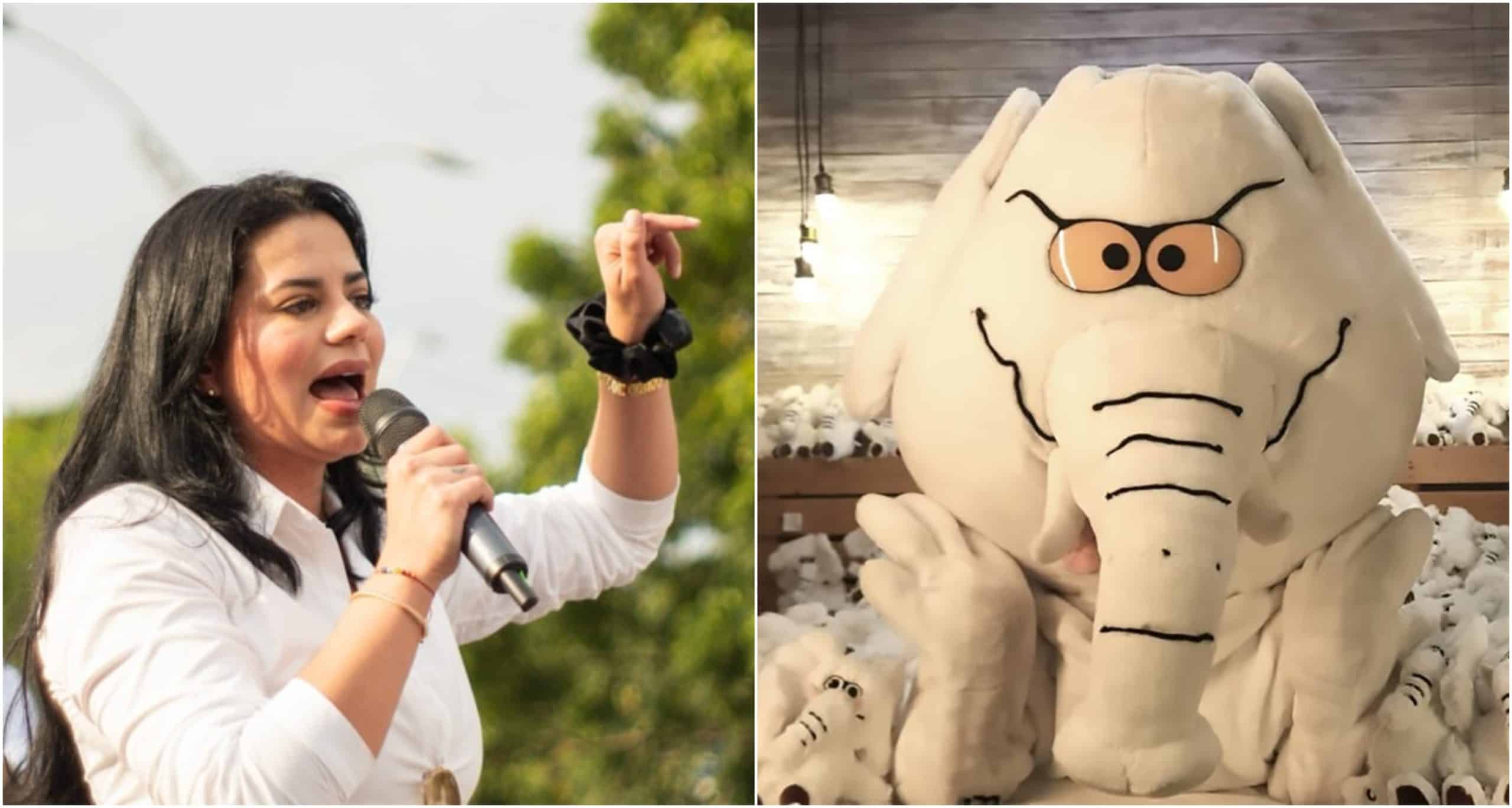 De las redes al Congreso: estos influencers salieron elegidos, mientras a otros no les alcanzó