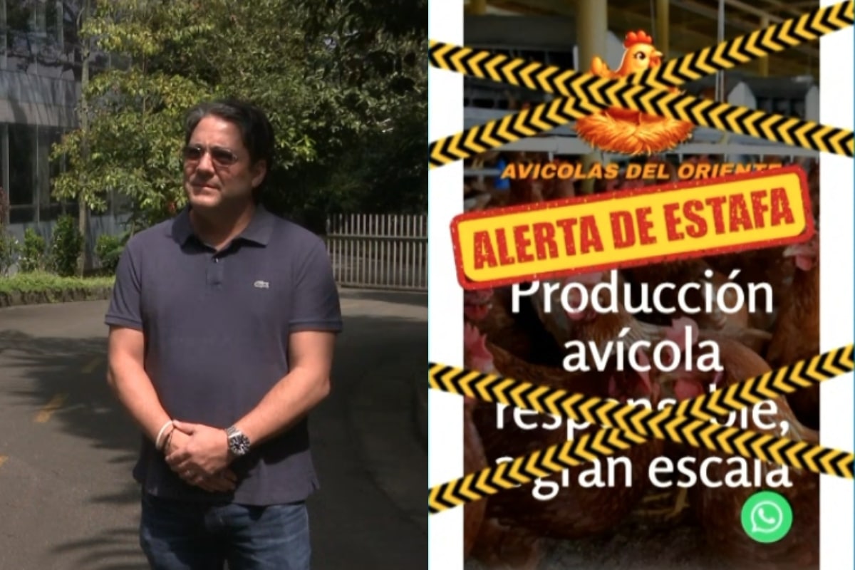 Estafa a familia que quería donar huevos a los más necesitados