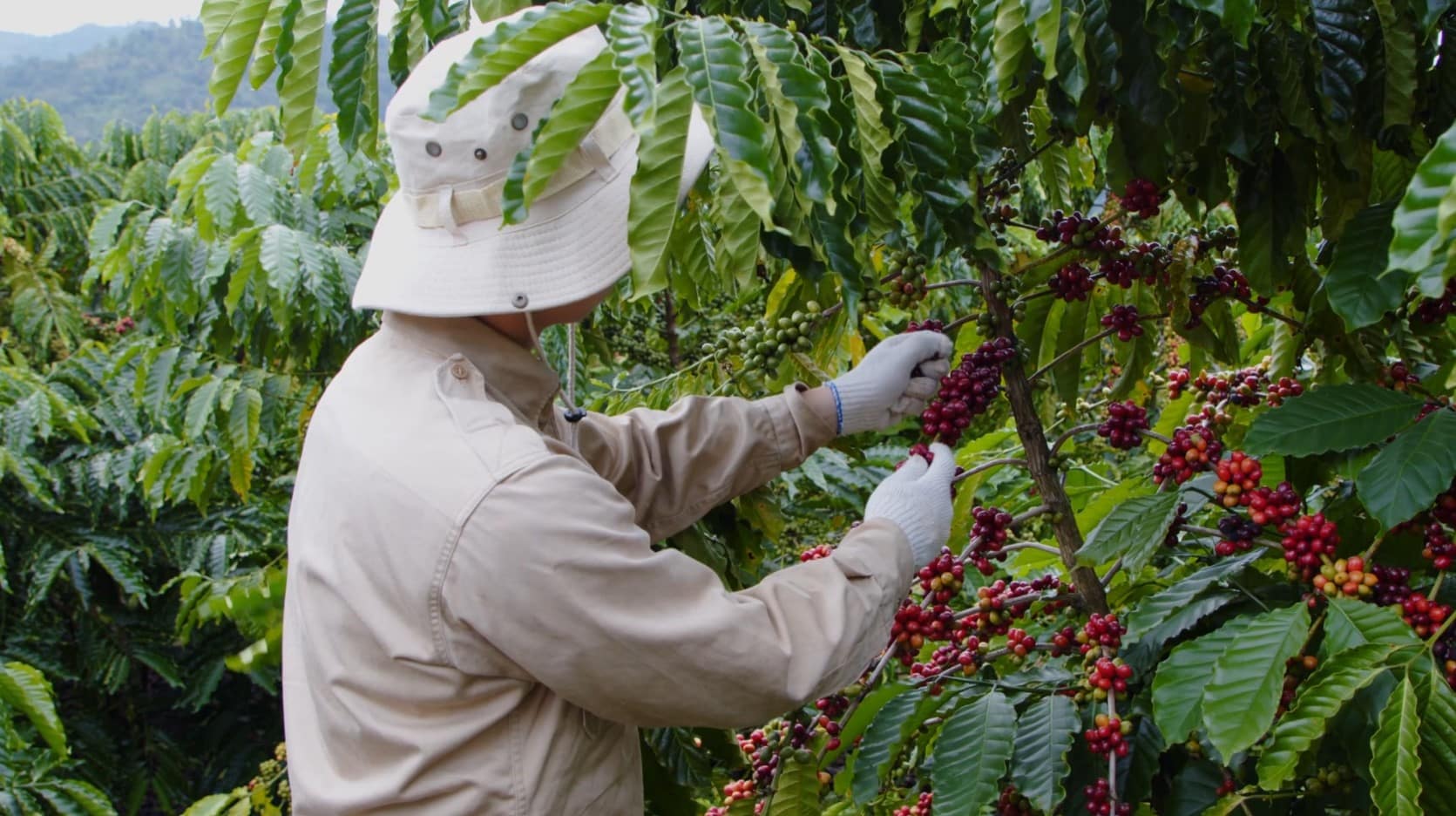 La economía antioqueña creció un 3%, superando el nivel nacional