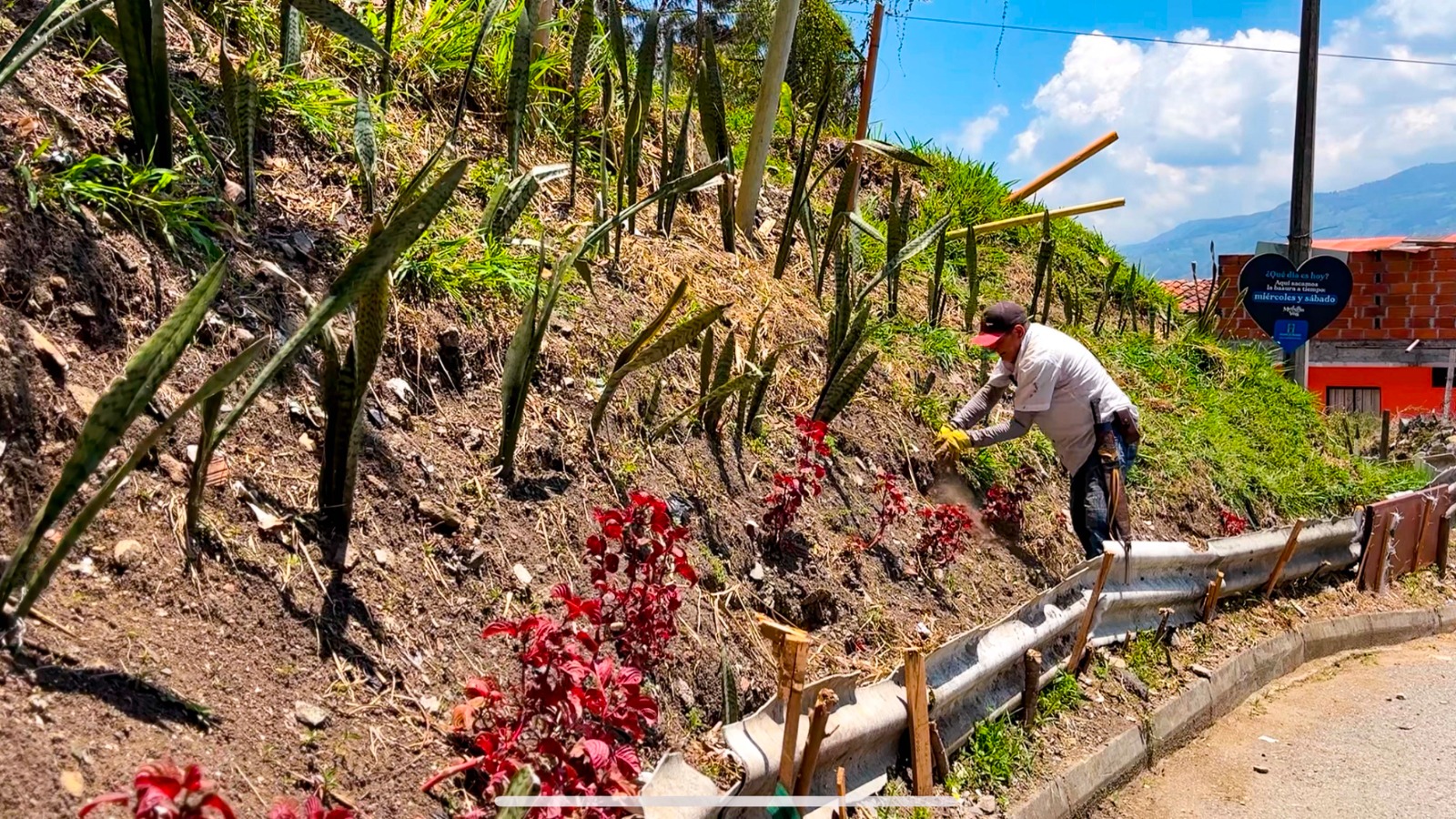 Más de 150 personas han realizado recuperación de puntos críticos de basuras en Medellín