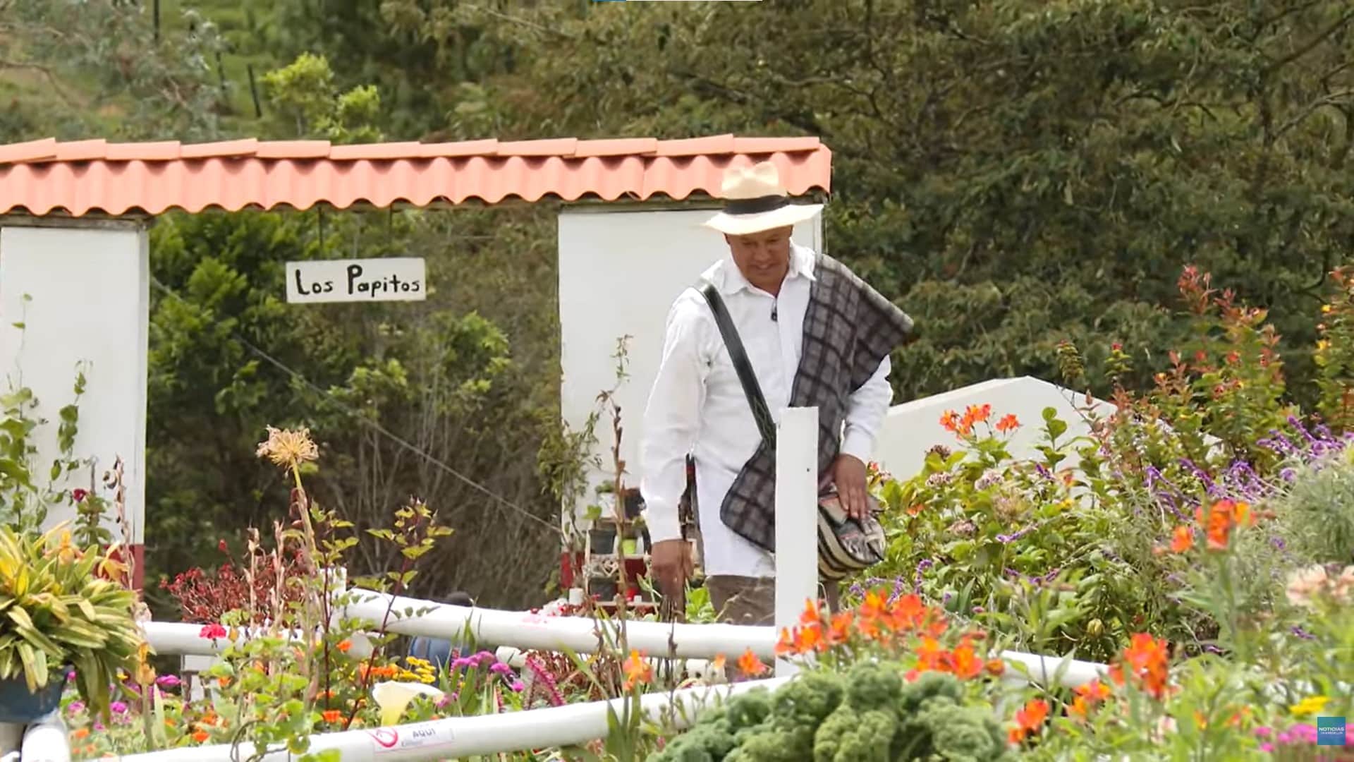 Actividades culturales y artísticas en Medellín del 13 al 15 de marzo