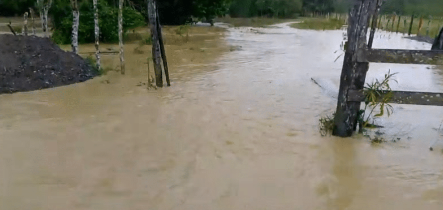 Zaragoza enfrenta calamidad pública por lluvias tras desbordamiento del río Nechí