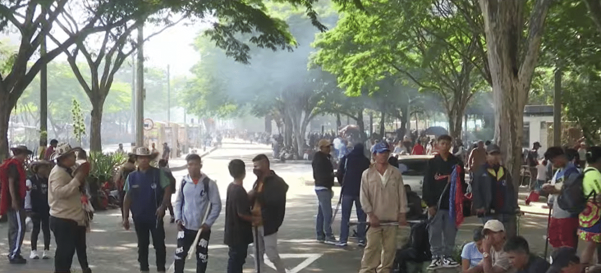 Así avanza la manifestación indígena en La Alpujarra: no hay atención presencial en la Alcaldía y Gobernación