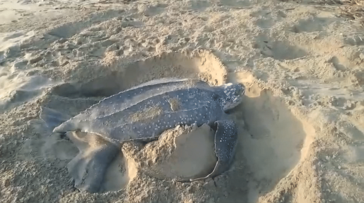 Ordenan cerrar playa en Necoclí y páramos del Sol y Alegría en Urrao