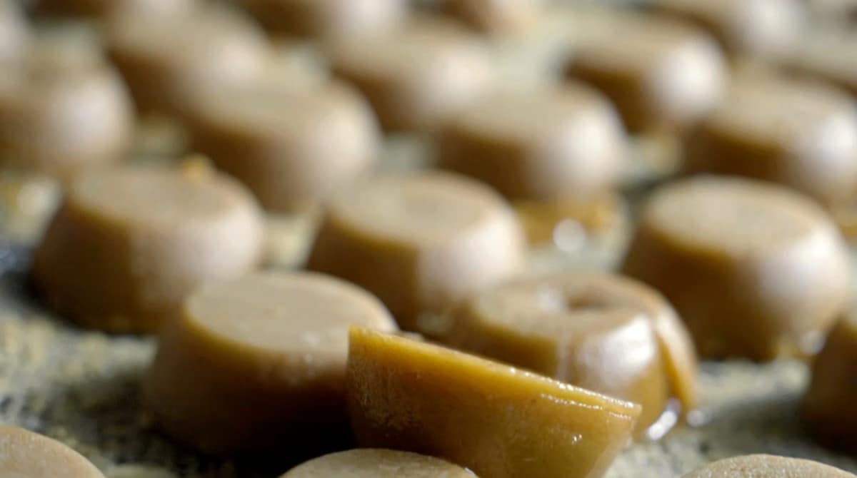 La panela, uno de los pilares de la economía rural de San Sebastián de Palmitas