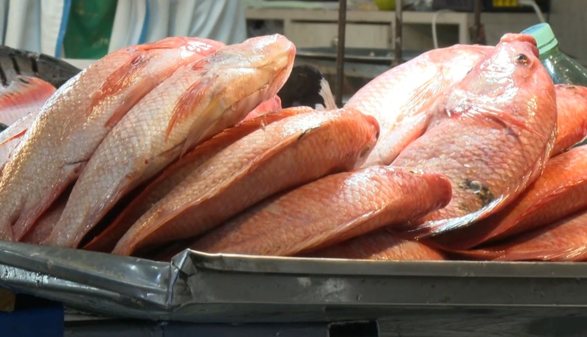 Siga estos consejos para escoger un buen pescado en Semana Santa