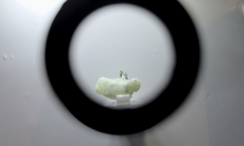 ¿Arte religioso en microescultura? Uno de los planes para disfrutar durante Semana Santa