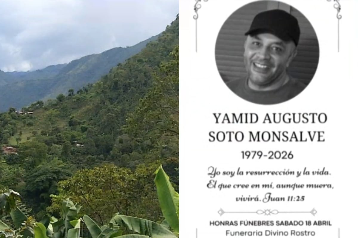 Ofrecen millonaria recompensa por asesinos de hombre en Támesis que hurtaron tres vehículos