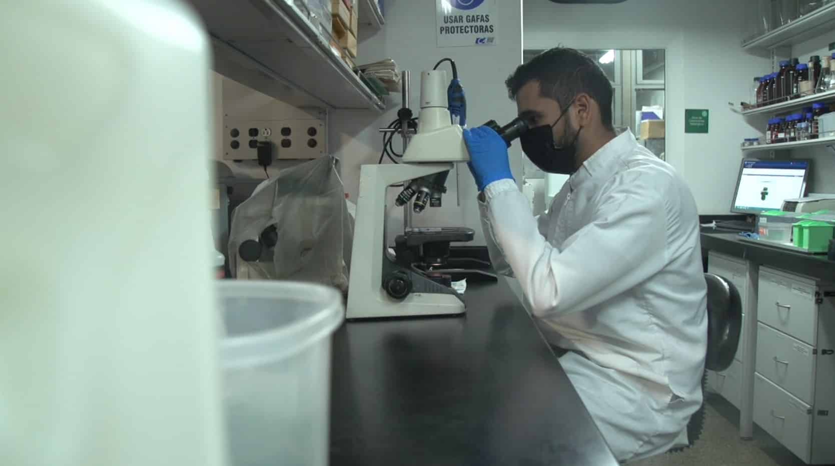 Ensayo clínico evaluará la eficacia de dos medicamentos en la 'mutación paisa' del Alzheimer