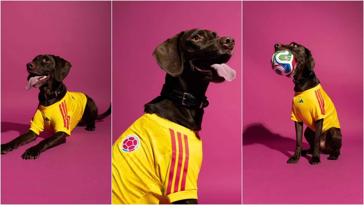 Adidas lanza camisetas para mascotas de la Selección Colombia