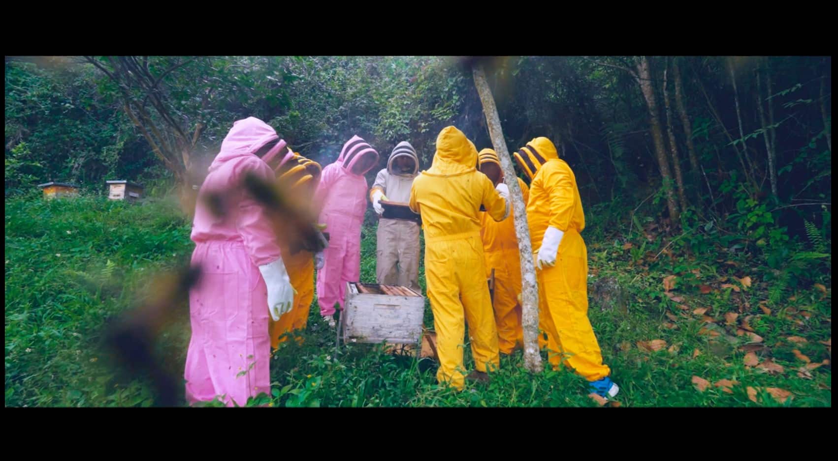 Iniciativas comunitarias en la Serranía de Buriticá: la apicultura como modelo sostenible