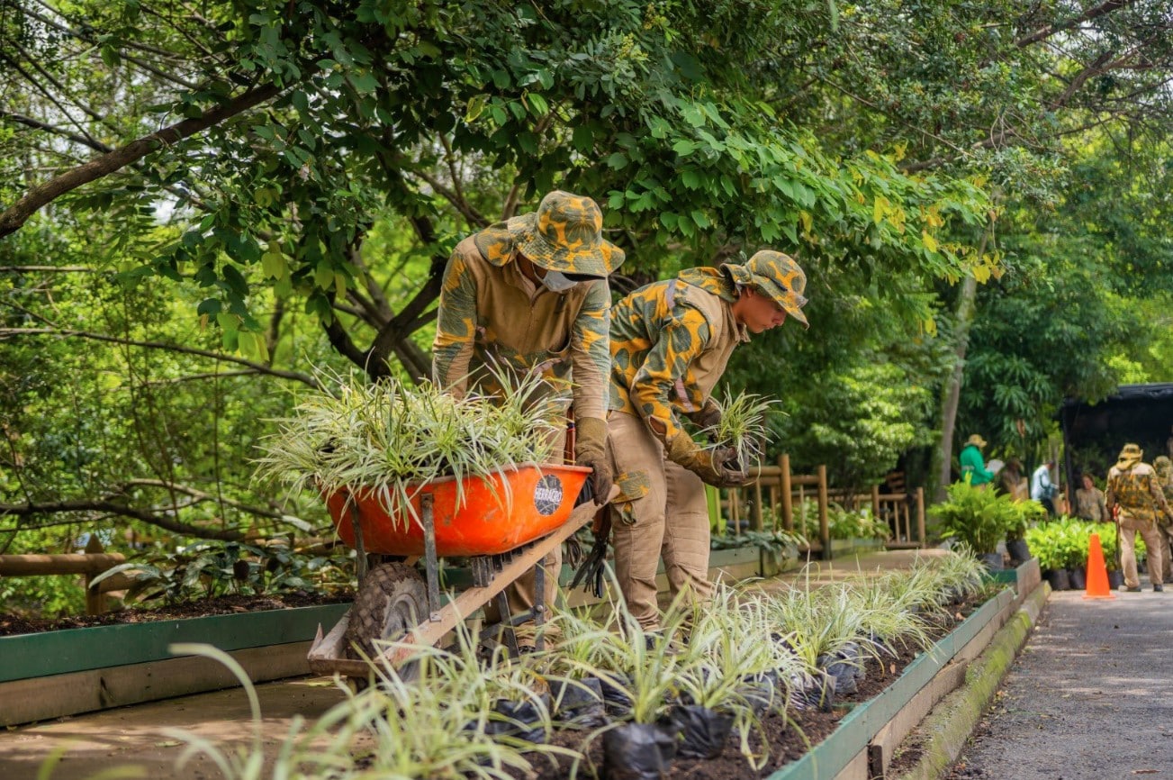 Medellín está dentro de las 8 ciudades con mejores espacios verdes del mundo