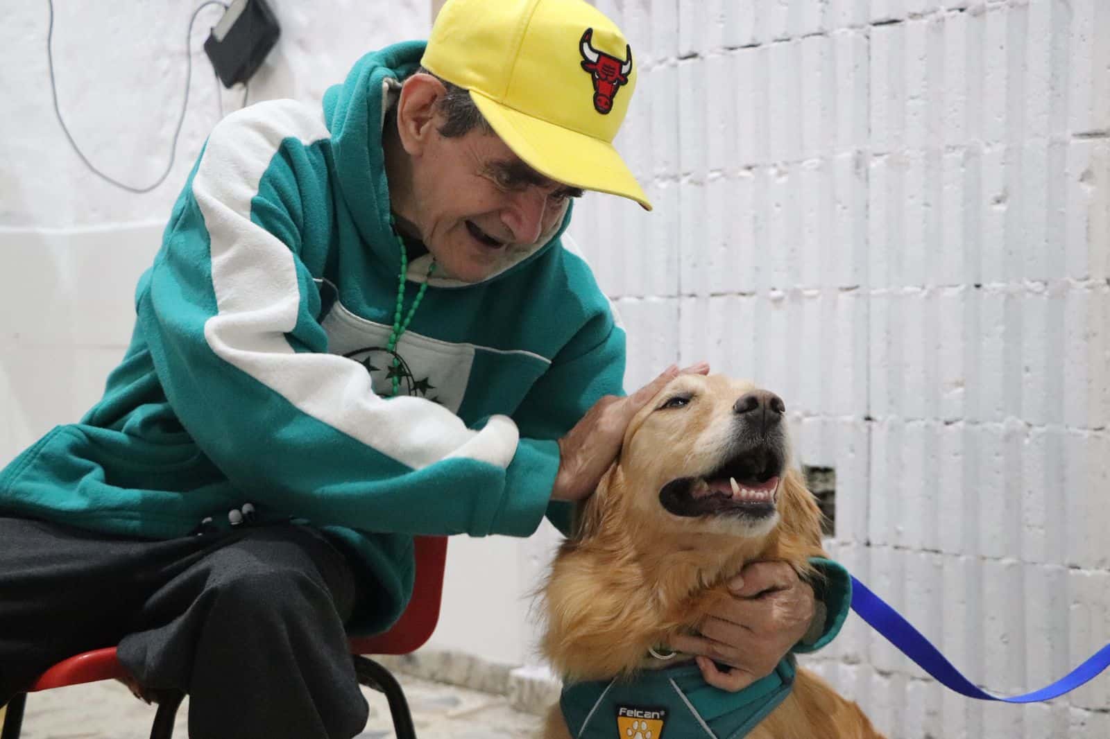 Perros que sanan y sacan una sonrisa, así fue su visita a un hogar de adultos mayores en Boston