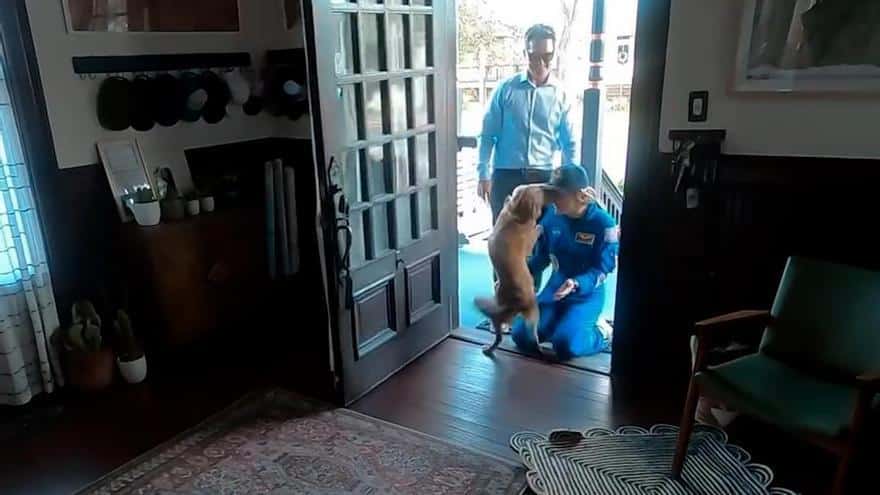El emotivo reencuentro de la astronauta Christina Koch con su perrita Sadie