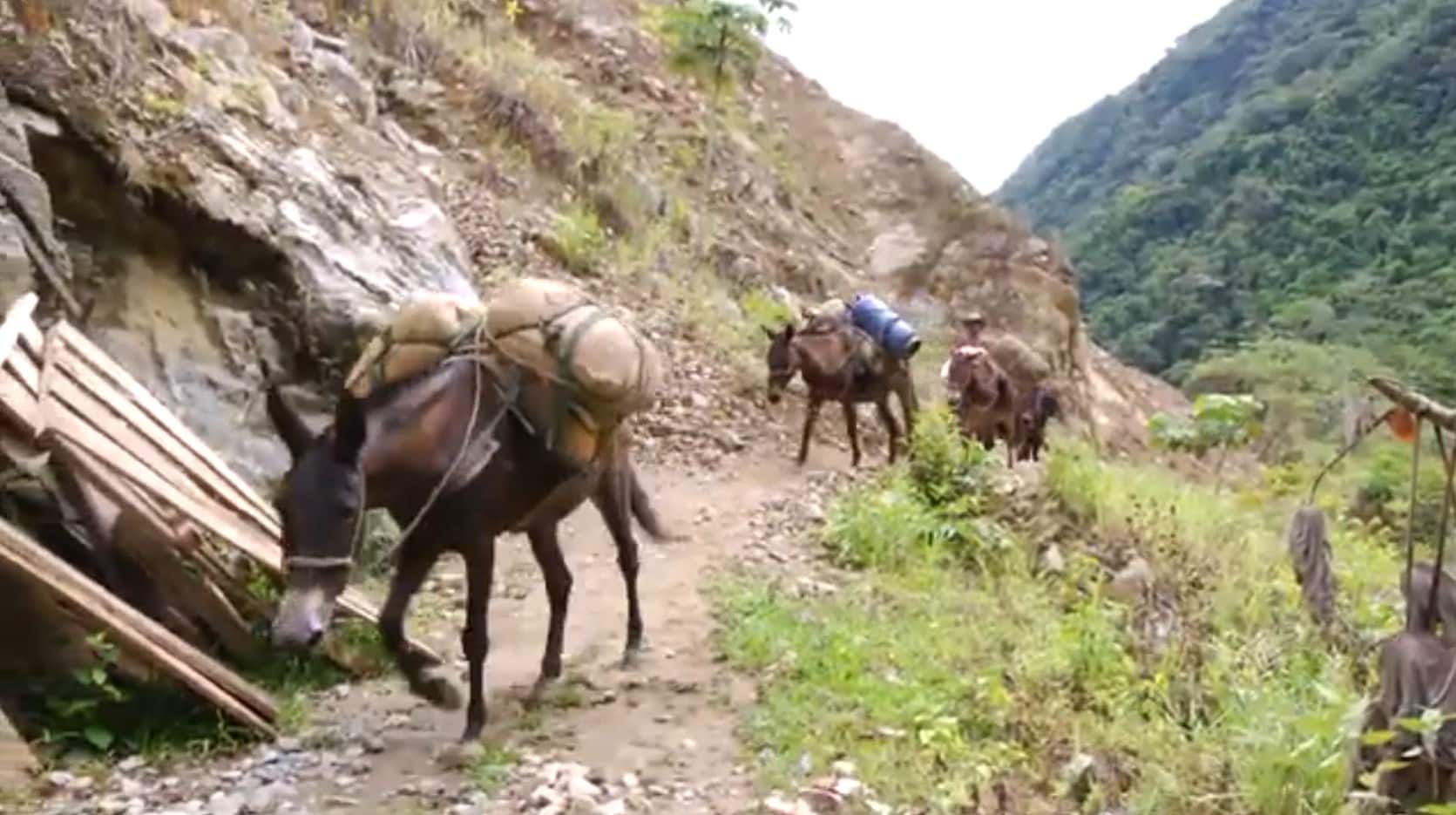 Comunidades campesinas en Antioquia viven bajo la amenaza de minas antipersonal