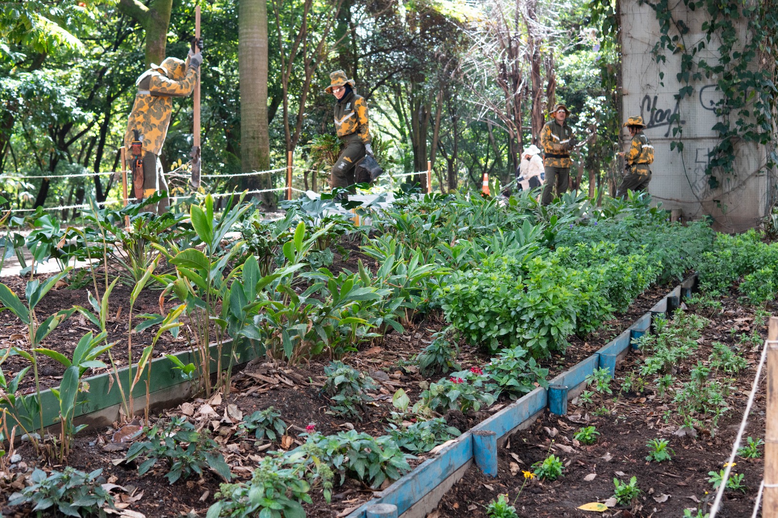 Acciones para reducir los impactos del fenómeno de El Niño en Medellín