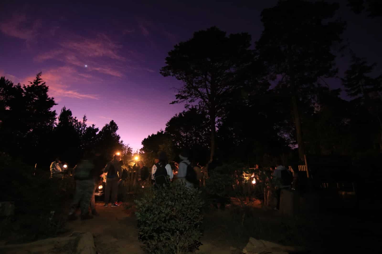 ¿Ha caminado en un bosque durante la noche? Así es Arví nocturno, un plan diferente para conectar con la naturaleza