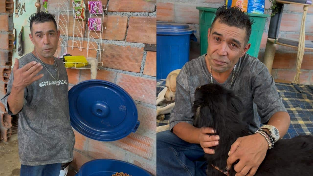 Juan al rescate: un refugio para animales callejeros
