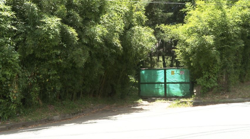 Medellín fue reconocida como víctima en proceso judicial por lote de Aguas Vivas