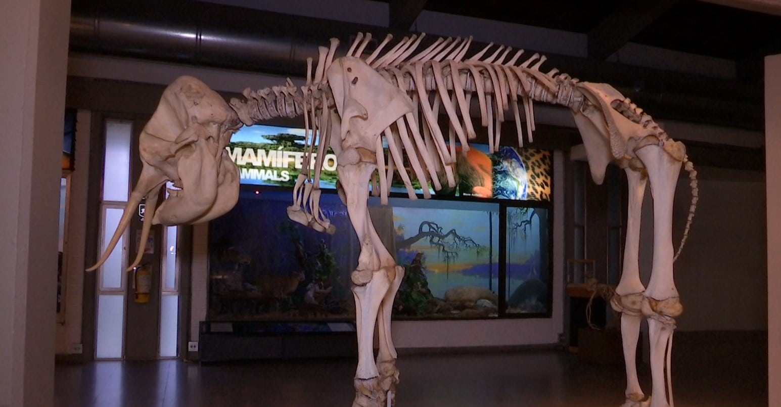 Museos de Medellín abrirán sus puertas con entrada libre y actividades especiales este fin de semana