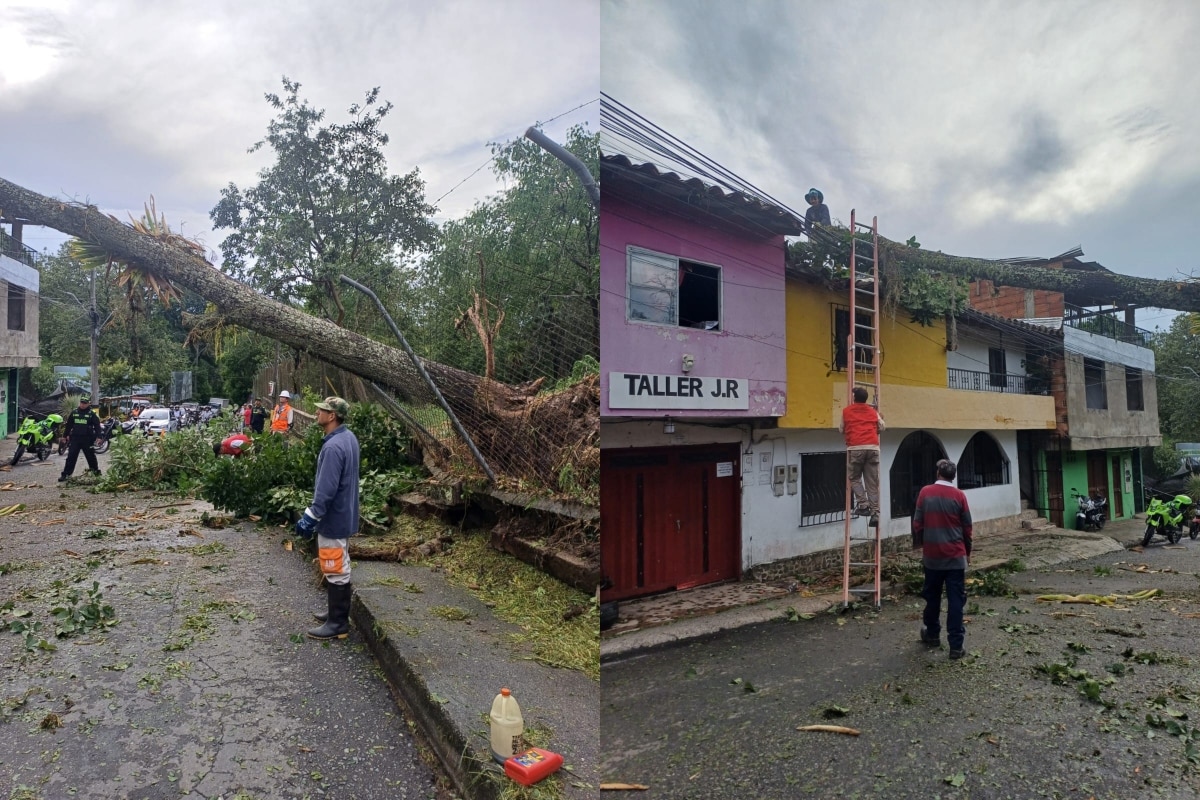 Fuerte vendaval causa estragos en Venecia, Antioquia