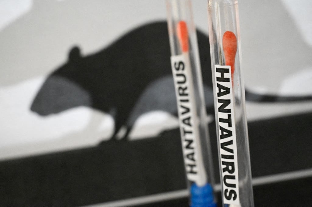 La OMS descarta similitudes entre brote de hantavirus en crucero y el origen de la pandemia