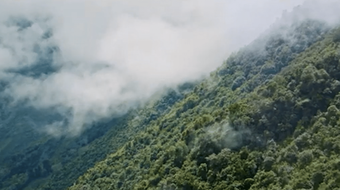 Antioquia suma áreas protegidas en la Serranía de Buriticá